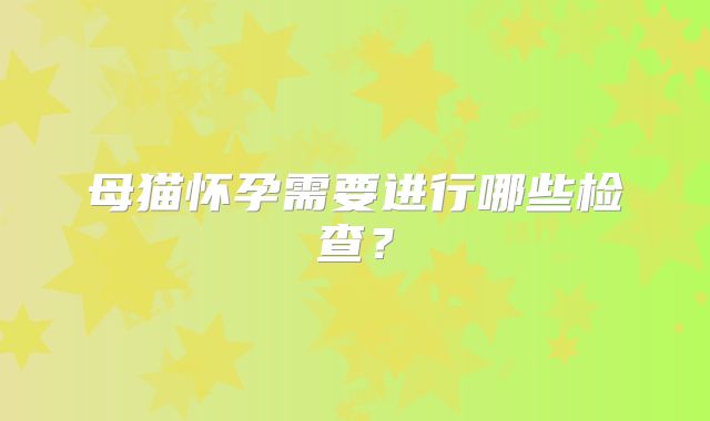 母猫怀孕需要进行哪些检查?