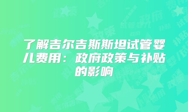 了解吉尔吉斯斯坦试管婴儿费用：政府政策与补贴的影响