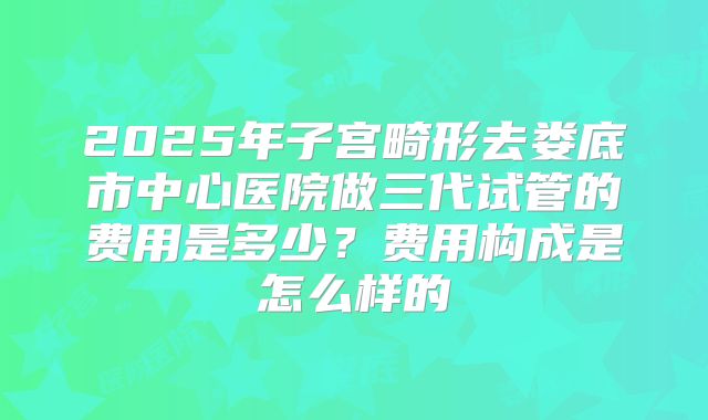 2025年子宫畸形去娄底市中心医院做三代试管的费用是多少？费用构成是怎么样的