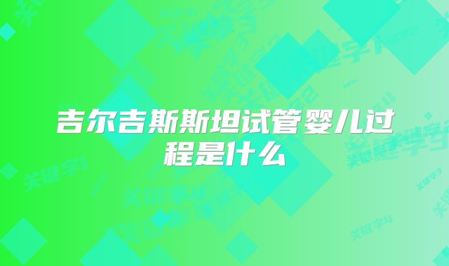 吉尔吉斯斯坦试管婴儿过程是什么