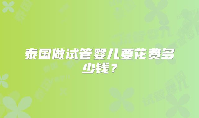 泰国做试管婴儿要花费多少钱？