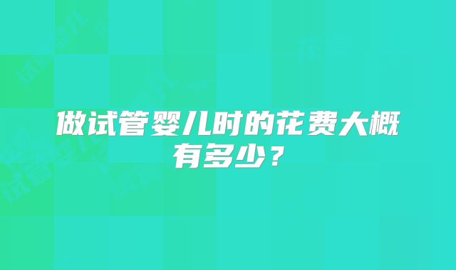 做试管婴儿时的花费大概有多少?
