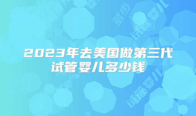 2023年去美国做第三代试管婴儿多少钱