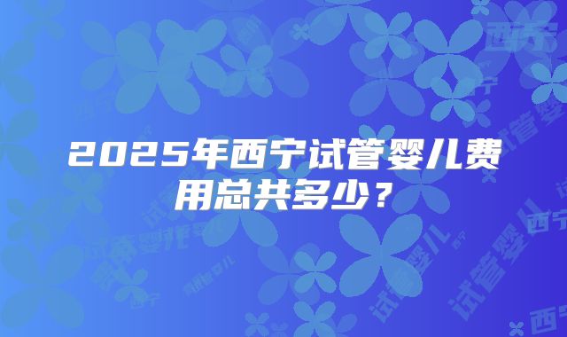 2025年西宁试管婴儿费用总共多少？