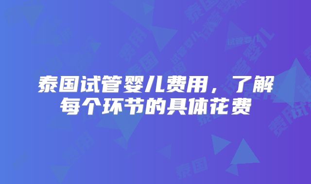 泰国试管婴儿费用，了解每个环节的具体花费