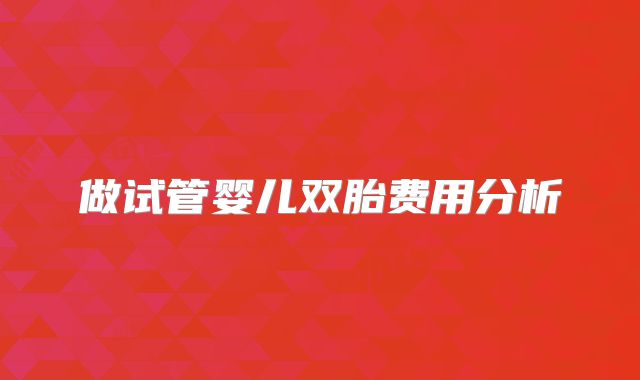 做试管婴儿双胎费用分析