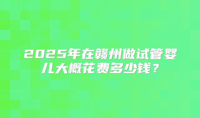 2025年在赣州做试管婴儿大概花费多少钱?