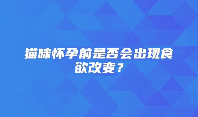 猫咪怀孕前是否会出现食欲改变?