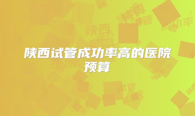 陕西试管成功率高的医院预算