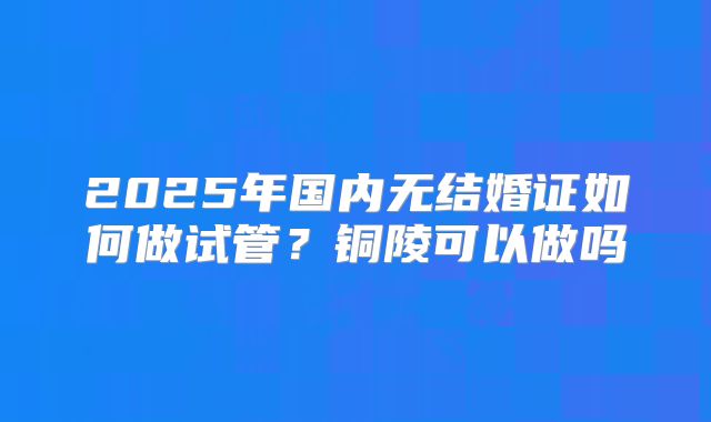 2025年国内无结婚证如何做试管？铜陵可以做吗