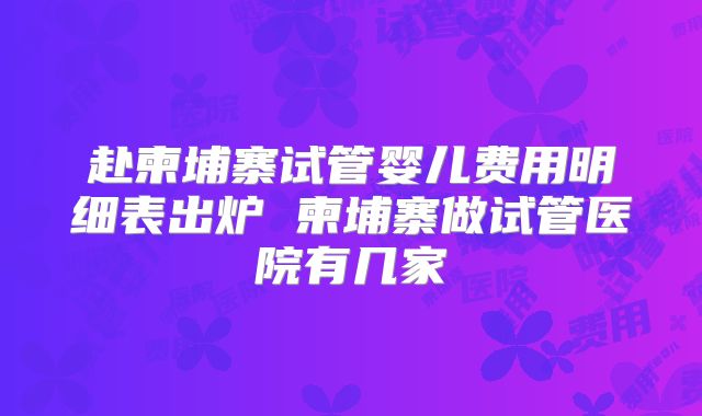 赴柬埔寨试管婴儿费用明细表出炉 柬埔寨做试管医院有几家