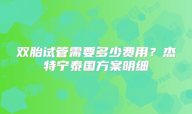 双胎试管需要多少费用？杰特宁泰国方案明细
