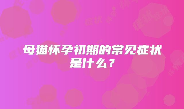 母猫怀孕初期的常见症状是什么?