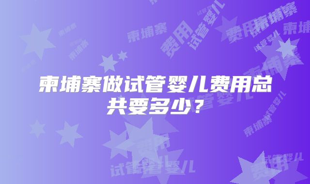 柬埔寨做试管婴儿费用总共要多少?