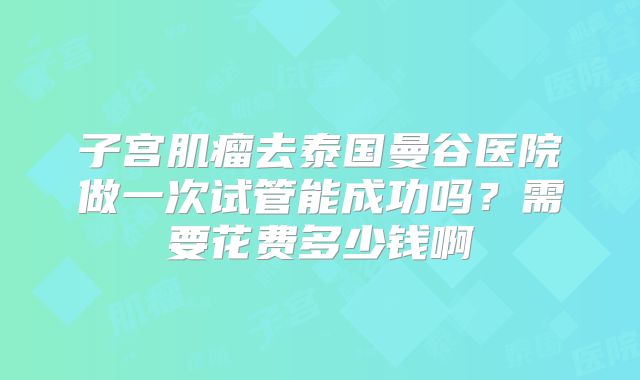 子宫肌瘤去泰国曼谷医院做一次试管能成功吗?需要花费多少钱啊