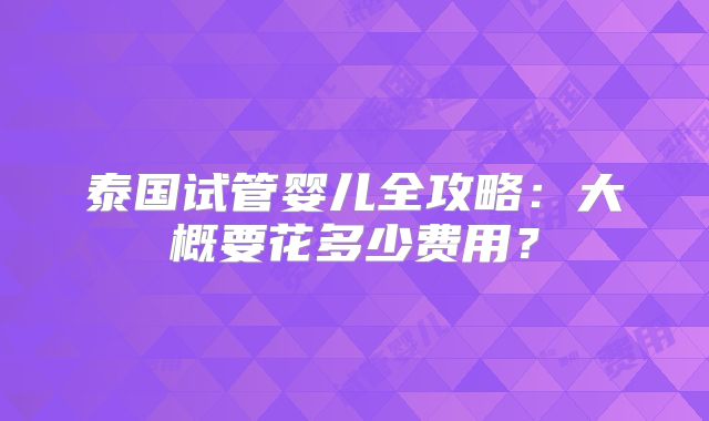 泰国试管婴儿全攻略:大概要花多少费用?