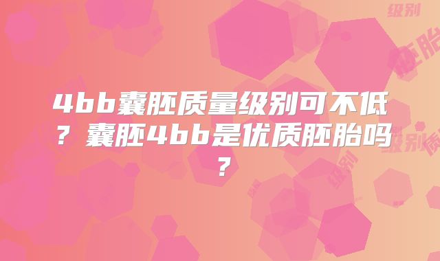 4bb囊胚质量级别可不低?囊胚4bb是优质胚胎吗?