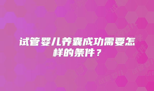 试管婴儿养囊成功需要怎样的条件？