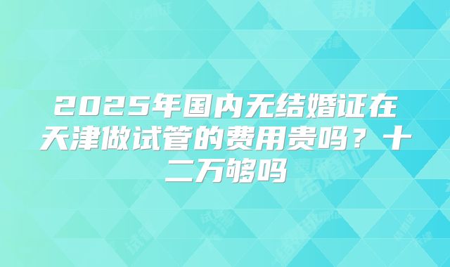2025年国内无结婚证在天津做试管的费用贵吗?十二万够吗