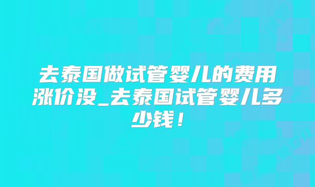 去泰国做试管婴儿的费用涨价没_去泰国试管婴儿多少钱！