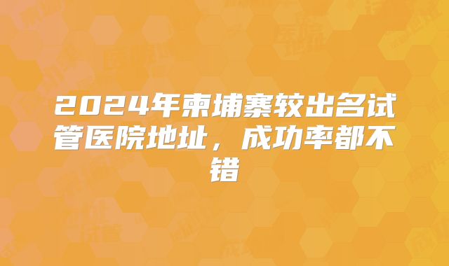 2024年柬埔寨较出名试管医院地址，成功率都不错