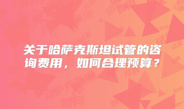 关于哈萨克斯坦试管的咨询费用，如何合理预算？