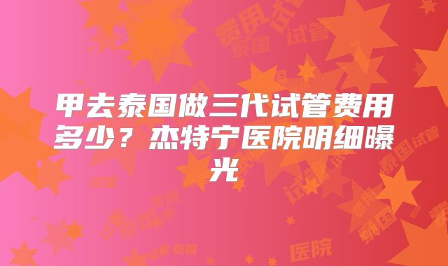 甲去泰国做三代试管费用多少？杰特宁医院明细曝光