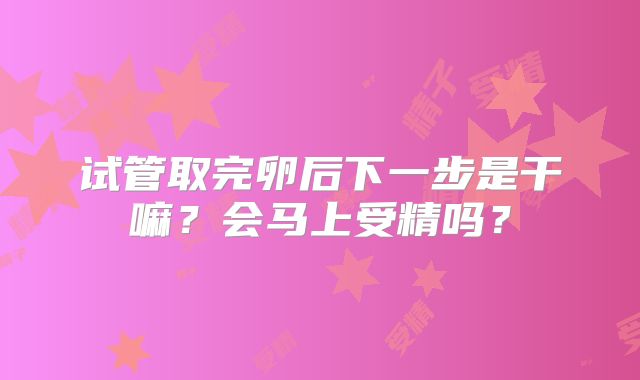 试管取完卵后下一步是干嘛？会马上受精吗？
