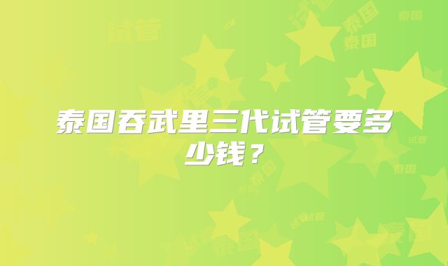 泰国吞武里三代试管要多少钱？