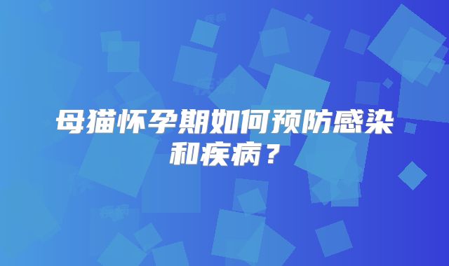 母猫怀孕期如何预防感染和疾病？