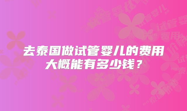 去泰国做试管婴儿的费用大概能有多少钱?