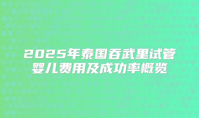2025年泰国吞武里试管婴儿费用及成功率概览