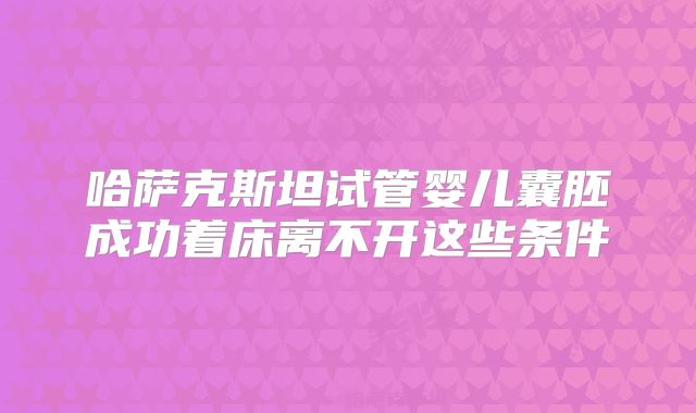 哈萨克斯坦试管婴儿囊胚成功着床离不开这些条件