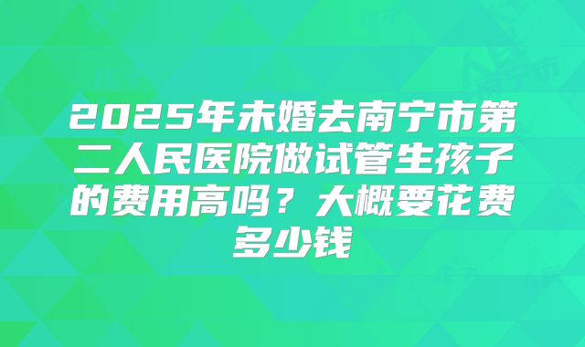 2025年未婚去南宁市第二人民医院做试管生孩子的费用高吗？大概要花费多少钱