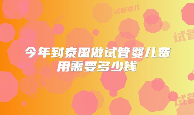 今年到泰国做试管婴儿费用需要多少钱