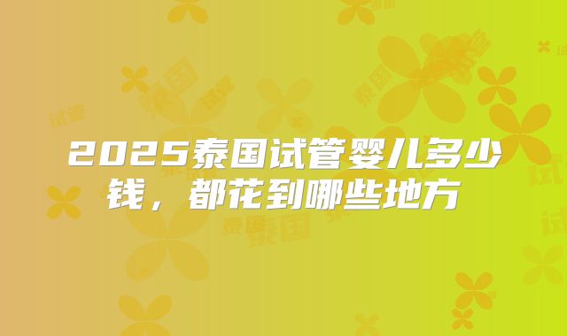 2025泰国试管婴儿多少钱,都花到哪些地方