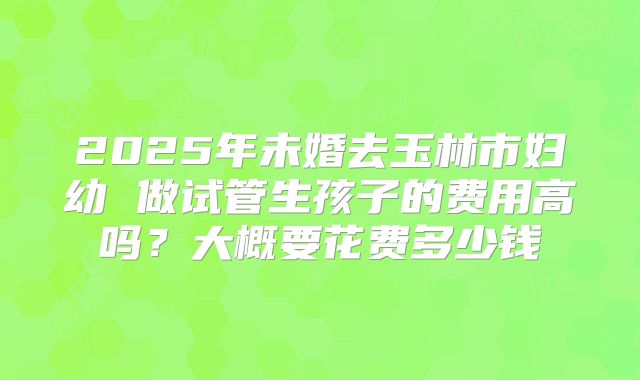2025年未婚去玉林市妇幼 做试管生孩子的费用高吗？大概要花费多少钱