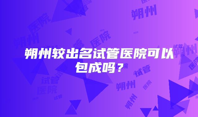朔州较出名试管医院可以包成吗？