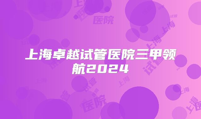 上海卓越试管医院三甲领航2024
