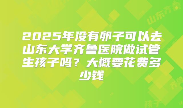 2025年没有卵子可以去山东大学齐鲁医院做试管生孩子吗？大概要花费多少钱