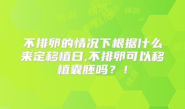 不排卵的情况下根据什么来定移植日,不排卵可以移植囊胚吗？！