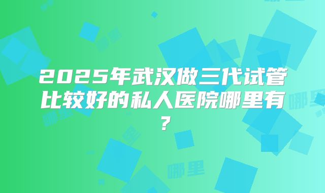 2025年武汉做三代试管比较好的私人医院哪里有？