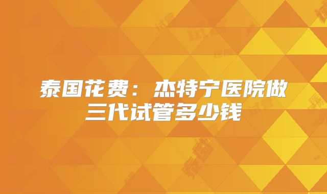 泰国花费:杰特宁医院做三代试管多少钱