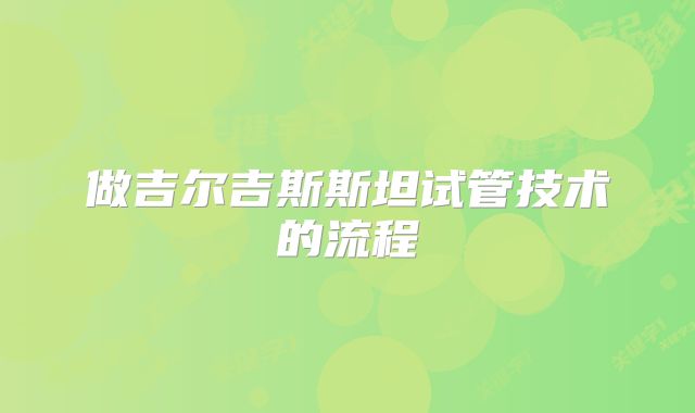 做吉尔吉斯斯坦试管技术的流程