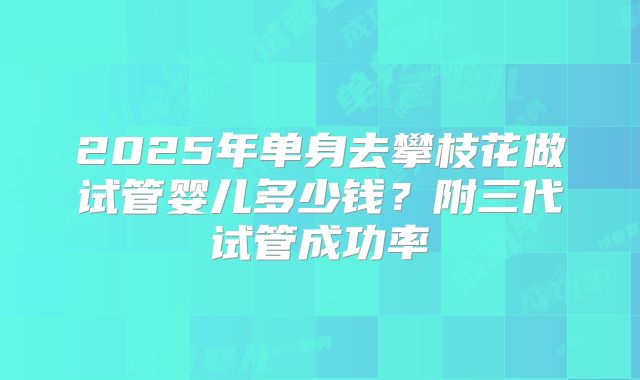 2025年单身去攀枝花做试管婴儿多少钱?附三代试管成功率
