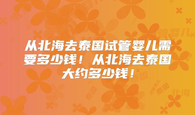 从北海去泰国试管婴儿需要多少钱!从北海去泰国大约多少钱!