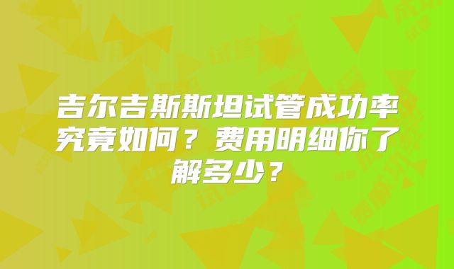 吉尔吉斯斯坦试管成功率究竟如何？费用明细你了解多少？
