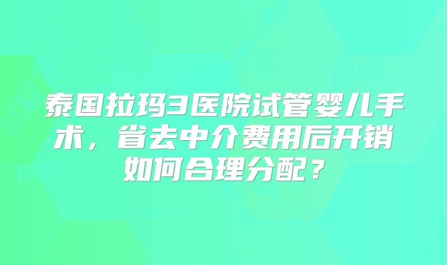 泰国拉玛3医院试管婴儿手术，省去中介费用后开销如何合理分配？