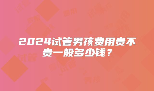 2024试管男孩费用贵不贵一般多少钱？