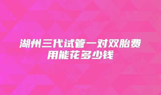 湖州三代试管一对双胎费用能花多少钱